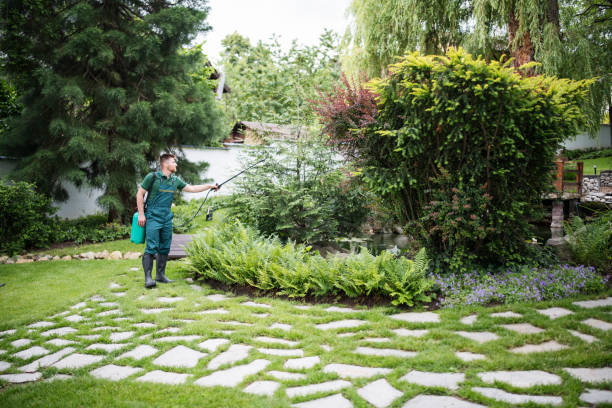 Best Mosquito Control Services  in Bluefield, WV