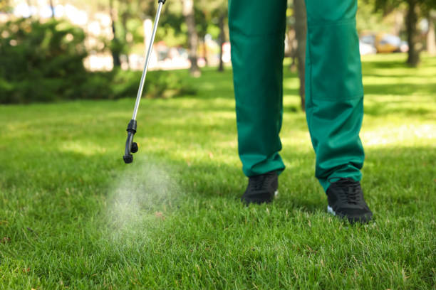Best Wasp Removal Services  in Bluefield, WV