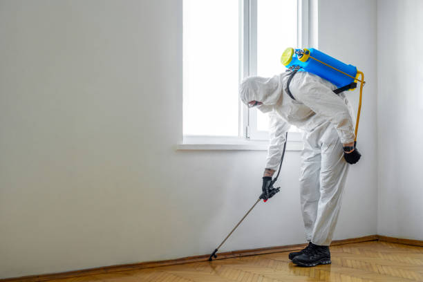  Bluefield, WV Pest Control Pros