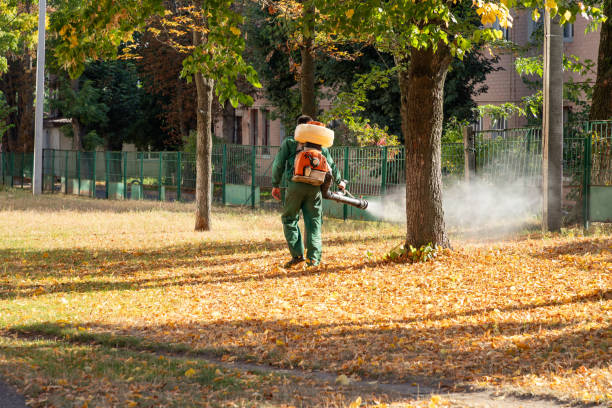 Best Wildlife Control Services  in Bluefield, WV