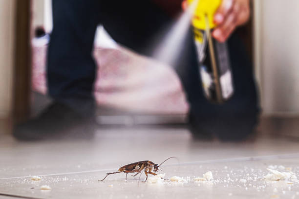 Best Best Pest Control Companies  in Bluefield, WV