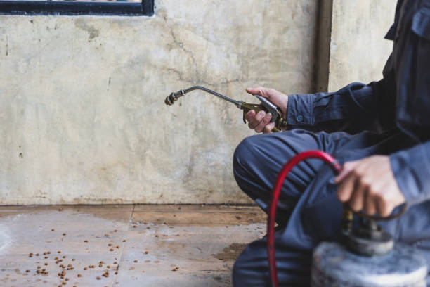 Best Pest Inspection Near Me  in Bluefield, WV