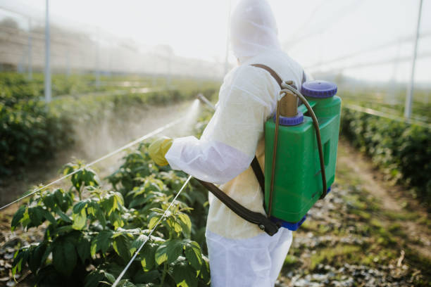 Best Affordable Pest Control Services  in Bluefield, WV
